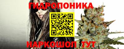 гашик Пугачёв